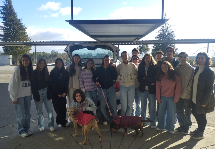 Campanha de Angariação de Alimentos para Animais